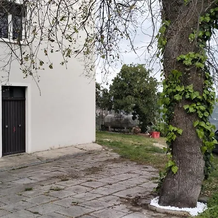 Apartment Via Cavassutti 20 *